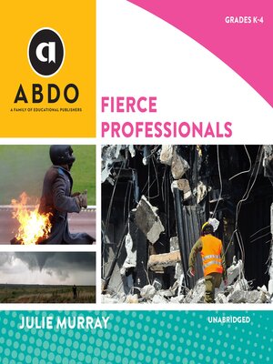 cover image of Fierce Professionals